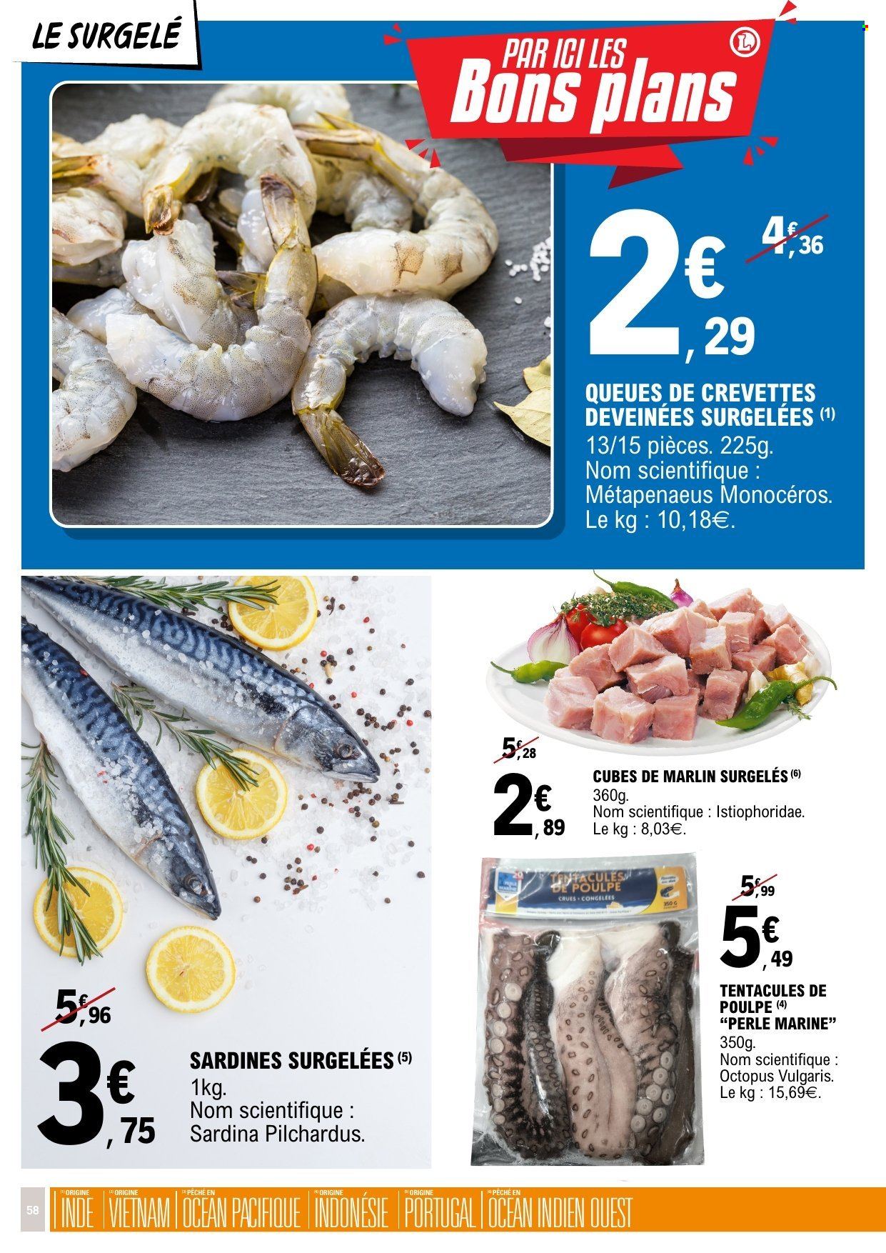 Catalogue E.Leclerc - 10/02/2026 - 22/02/2026. Page 58