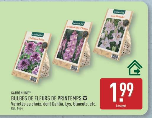 GARDENLINE® BULBES DE FLEURS DE PRINTEMPS