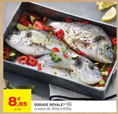 DORADE ROYALE
