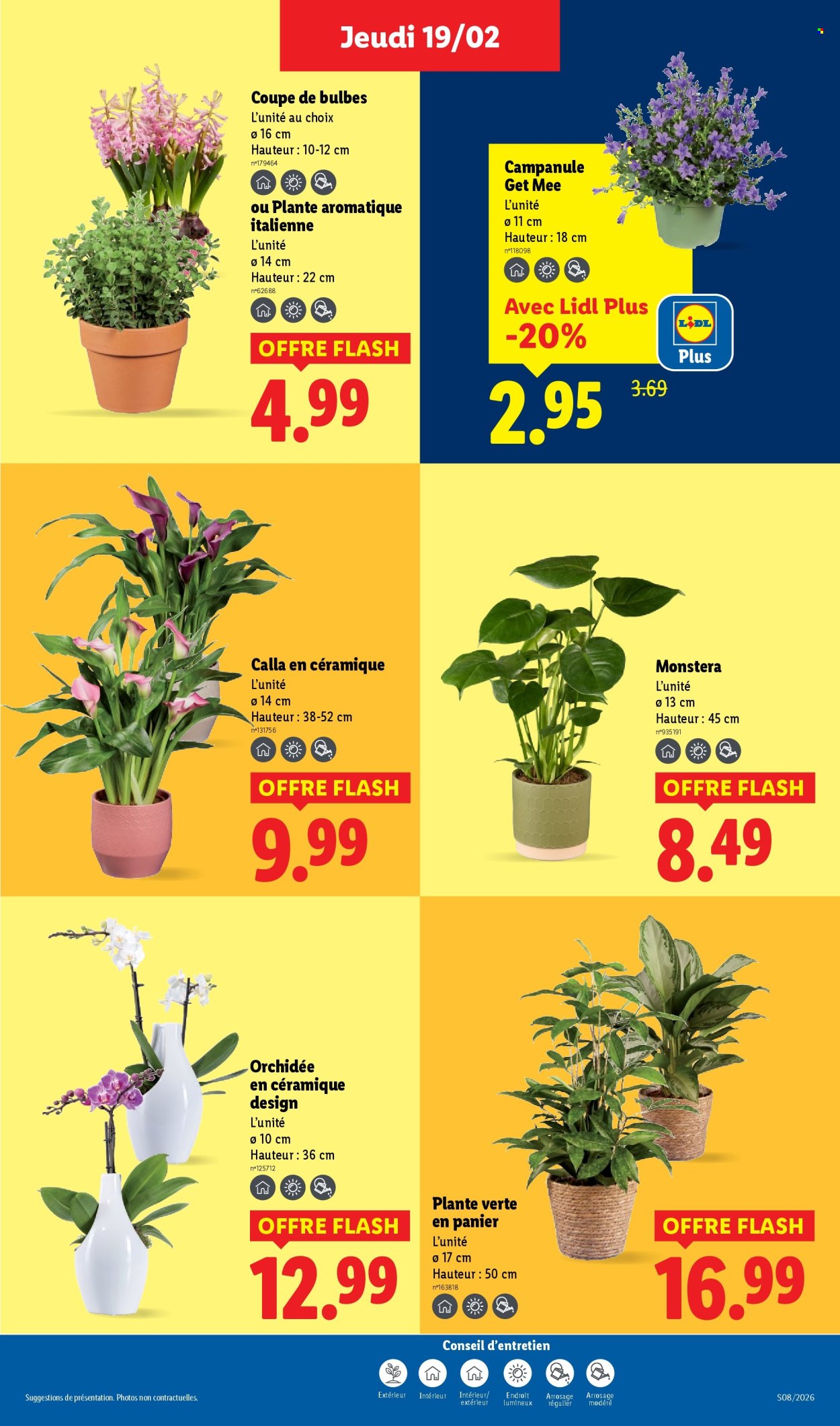 Catalogue Lidl - 19/02/2026 - 25/02/2026. Page 29
