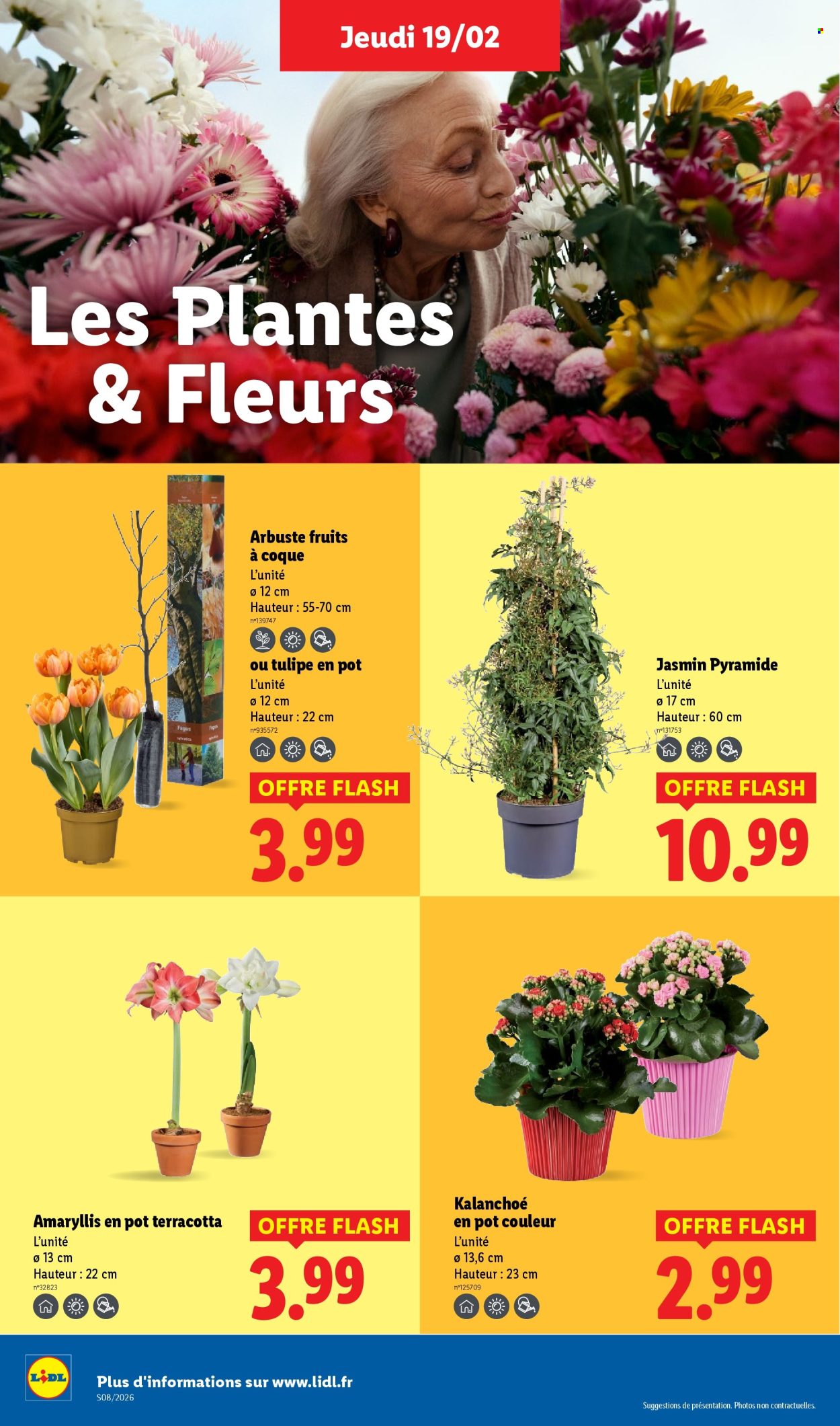 Catalogue Lidl - 19/02/2026 - 25/02/2026. Page 28