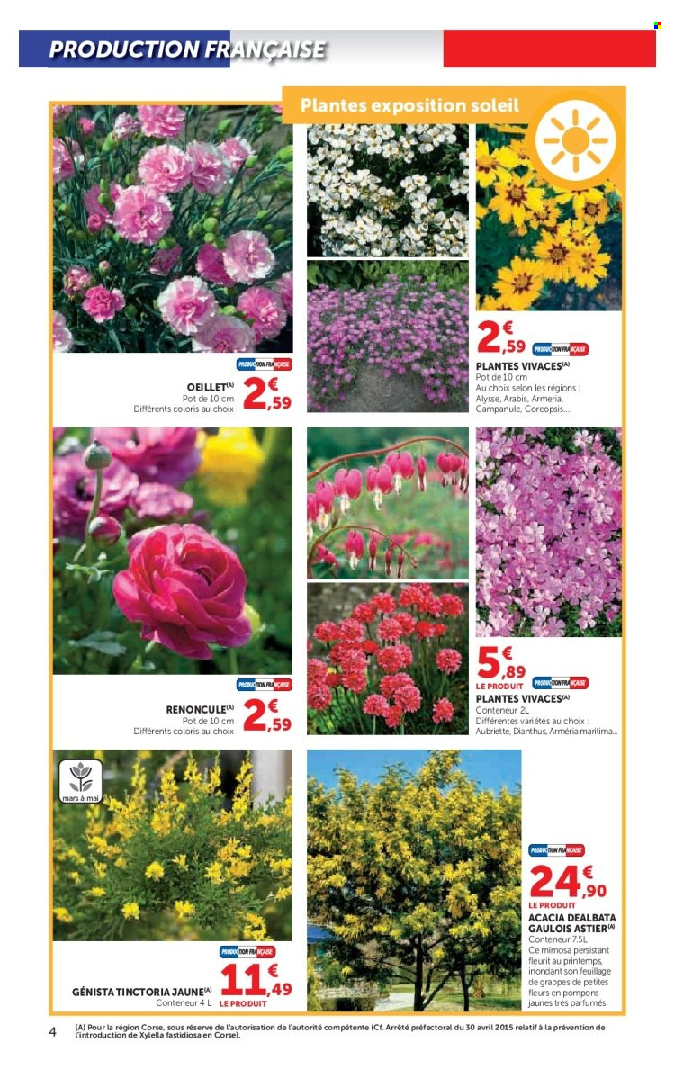 Catalogue SUPER U - 17/02/2026 - 15/03/2026. Page 4