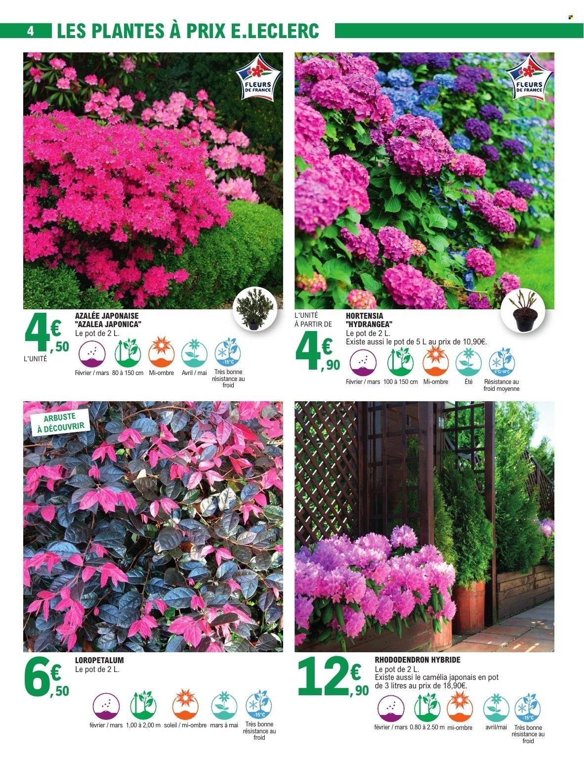 Catalogue E.Leclerc - 17/02/2026 - 28/02/2026. Page 4