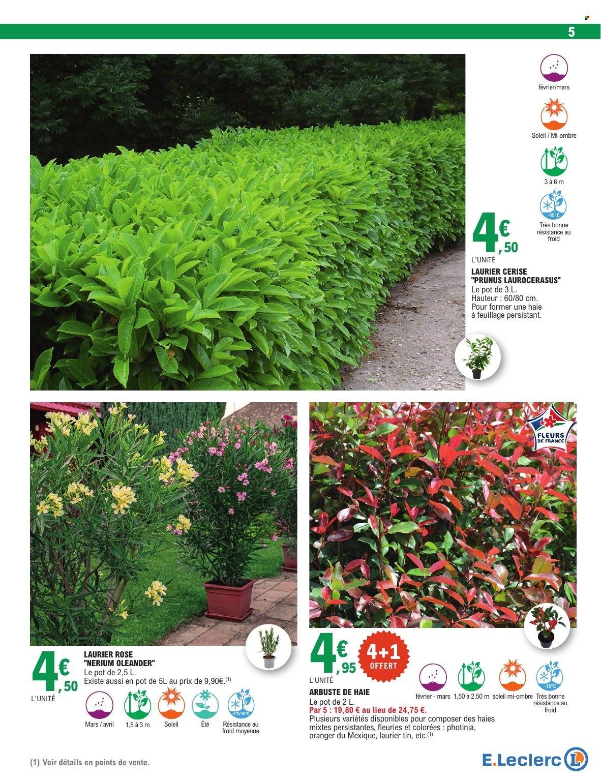 Catalogue E.Leclerc - 17/02/2026 - 28/02/2026. Page 5