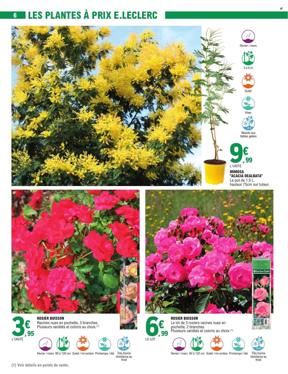 Catalogue E.Leclerc - 17/02/2026 - 28/02/2026. Page 6