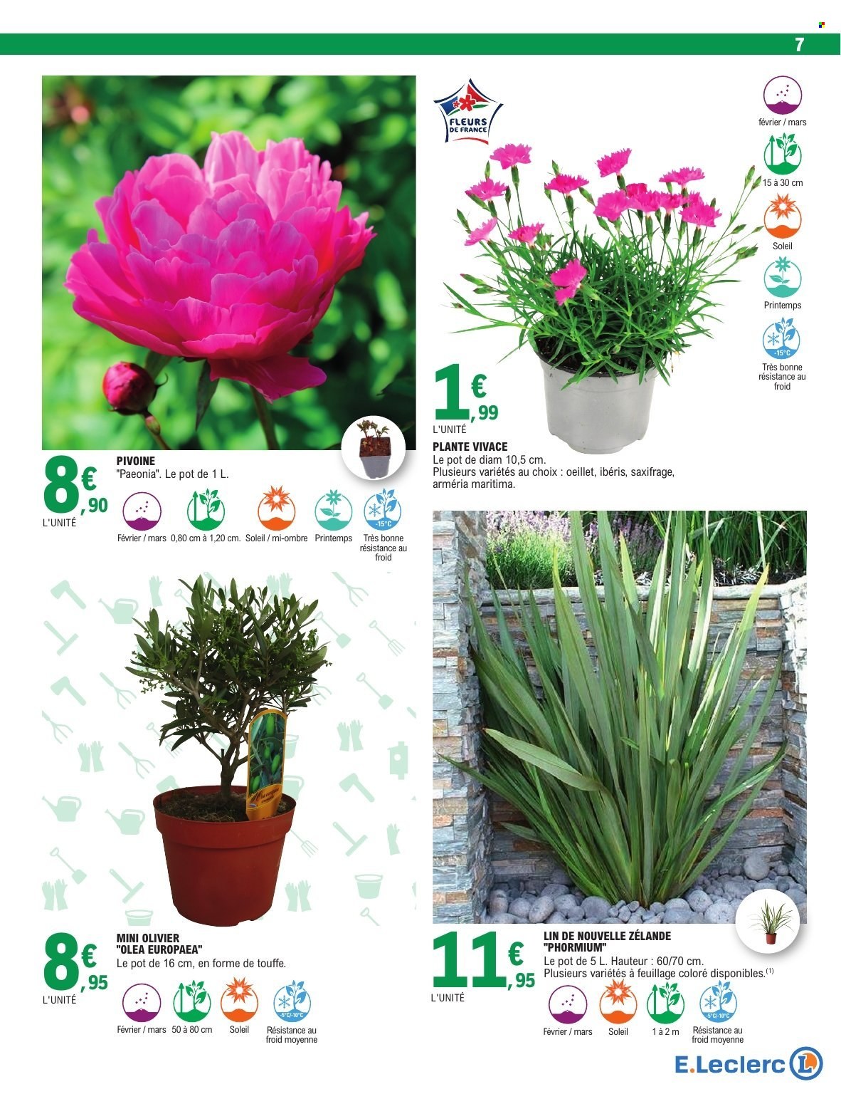 Catalogue E.Leclerc - 17/02/2026 - 28/02/2026. Page 7