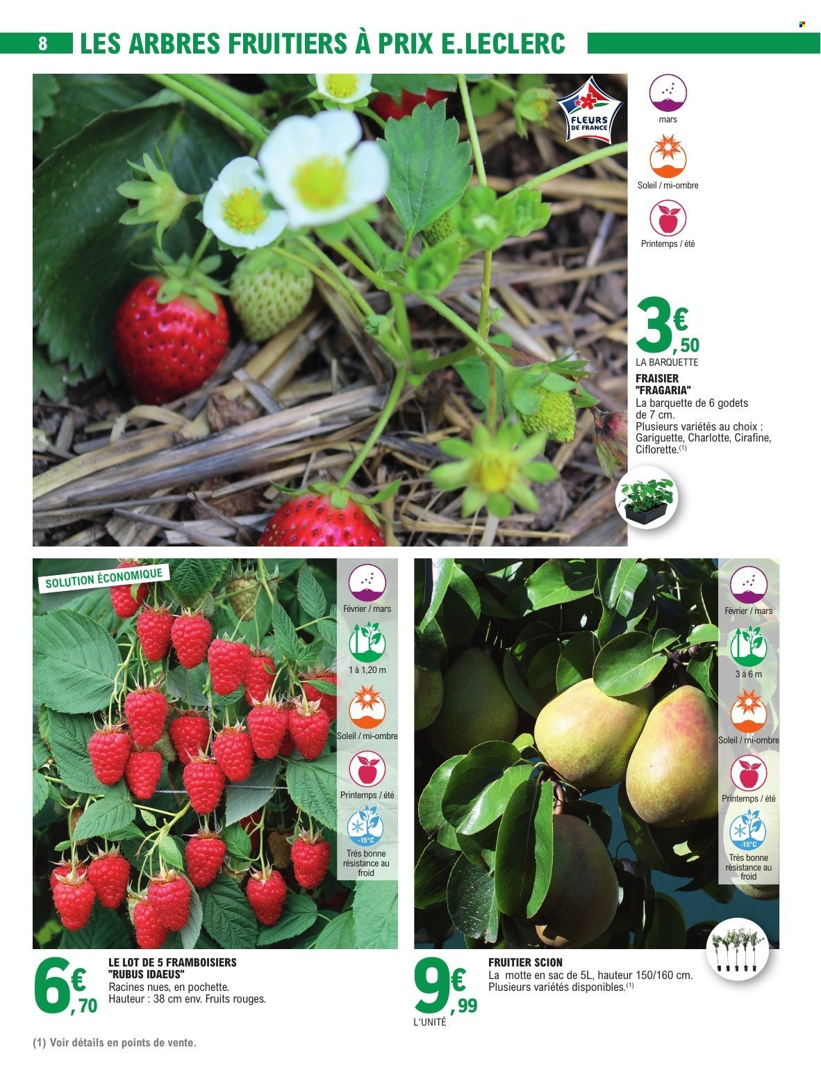 Catalogue E.Leclerc - 17/02/2026 - 28/02/2026. Page 8