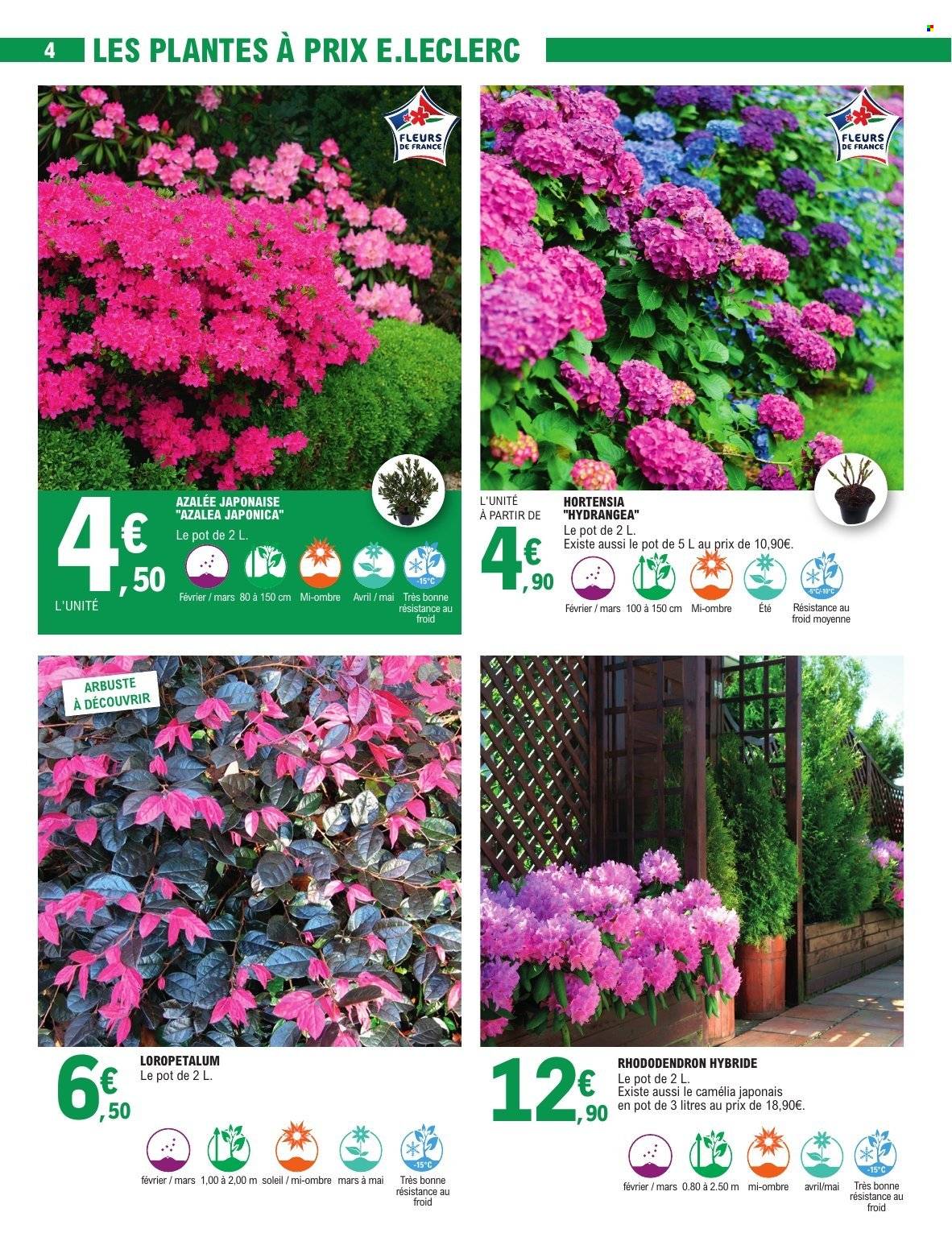 Catalogue E.Leclerc - 17/02/2026 - 28/02/2026. Page 4