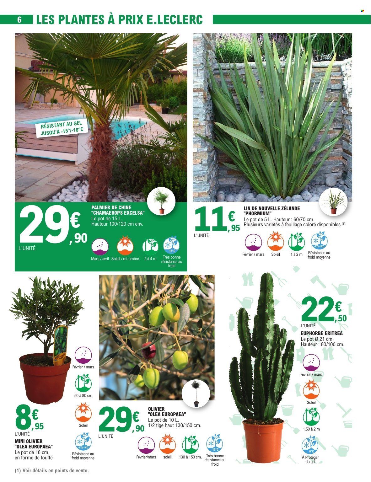 Catalogue E.Leclerc - 17/02/2026 - 28/02/2026. Page 6