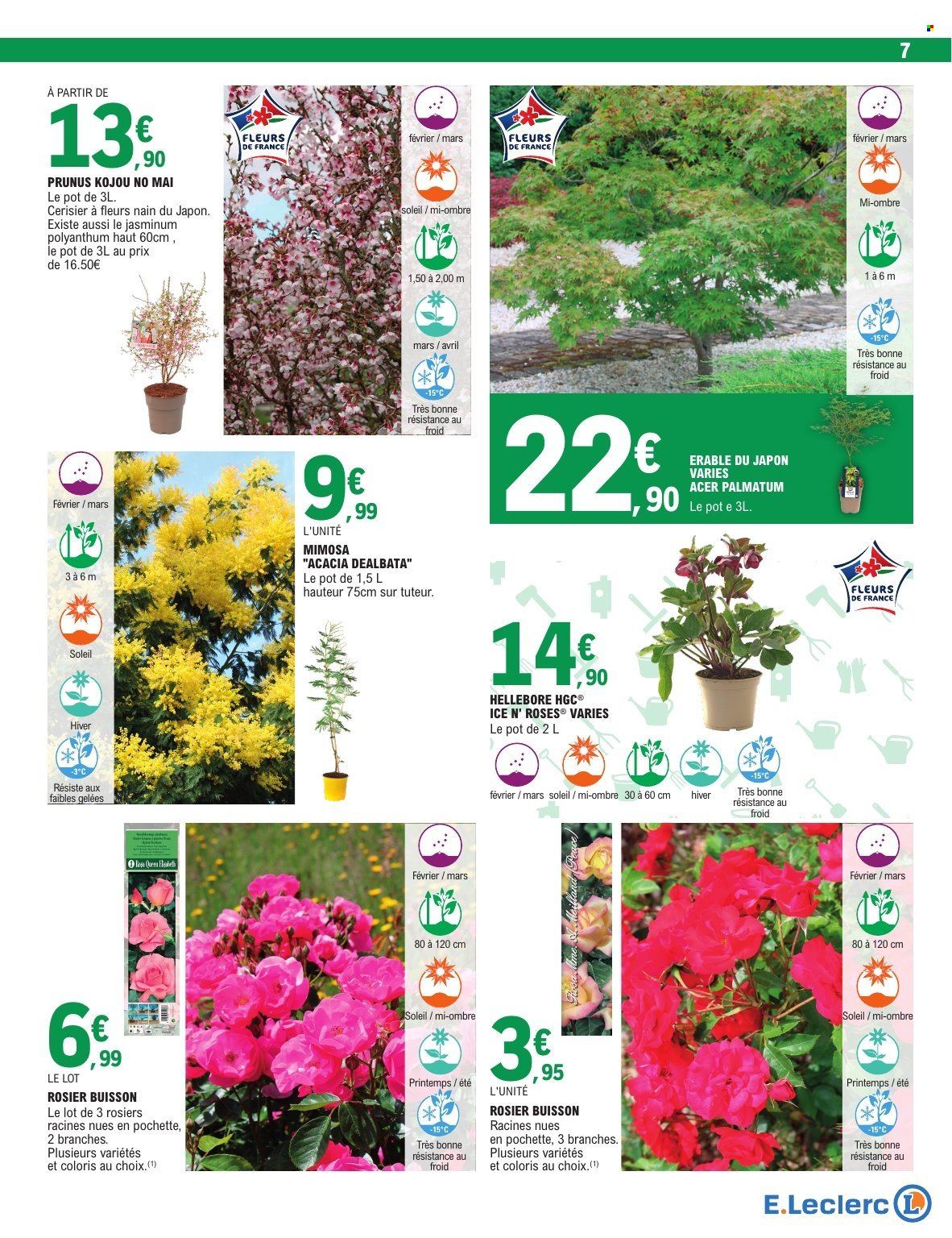 Catalogue E.Leclerc - 17/02/2026 - 28/02/2026. Page 7