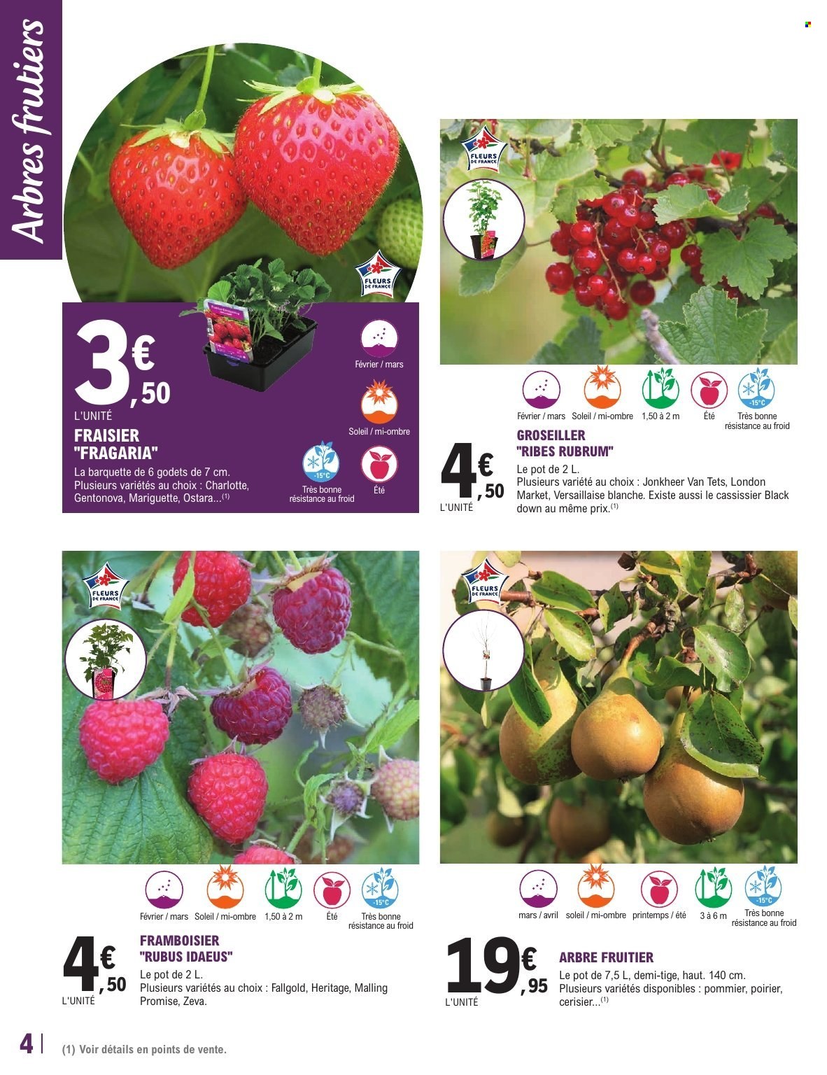 Catalogue E.Leclerc - 17/02/2026 - 28/02/2026. Page 4