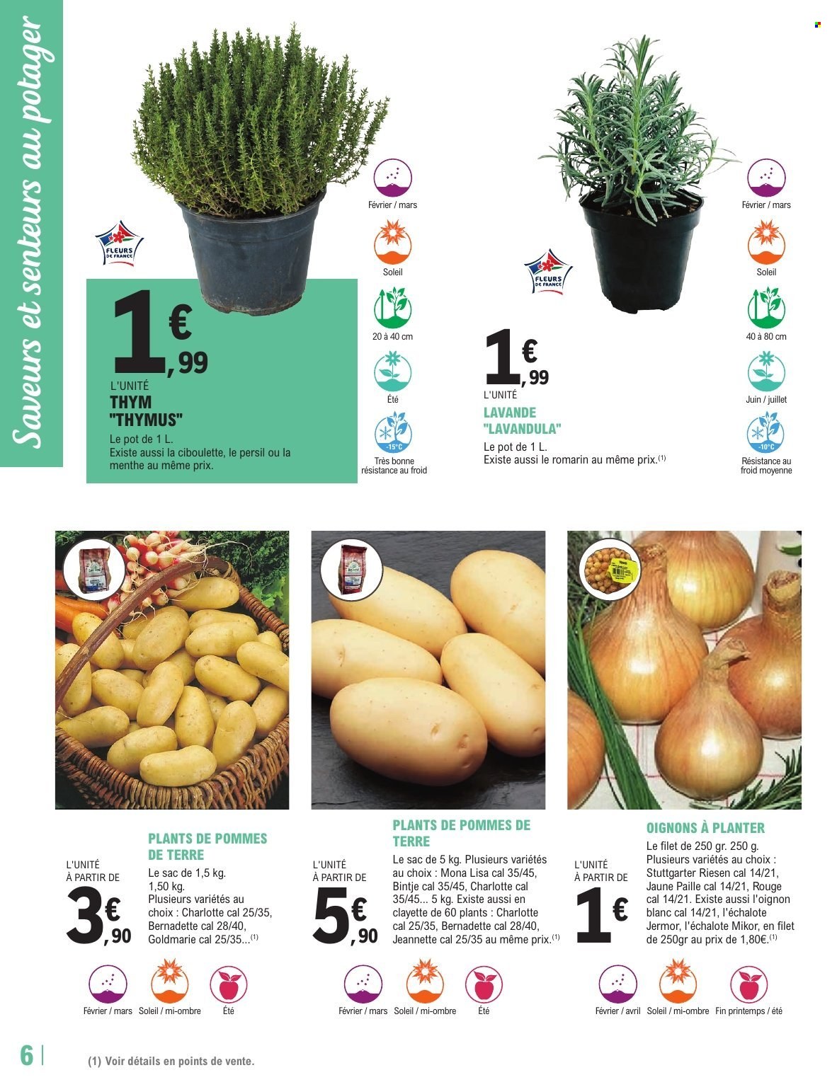 Catalogue E.Leclerc - 17/02/2026 - 28/02/2026. Page 6