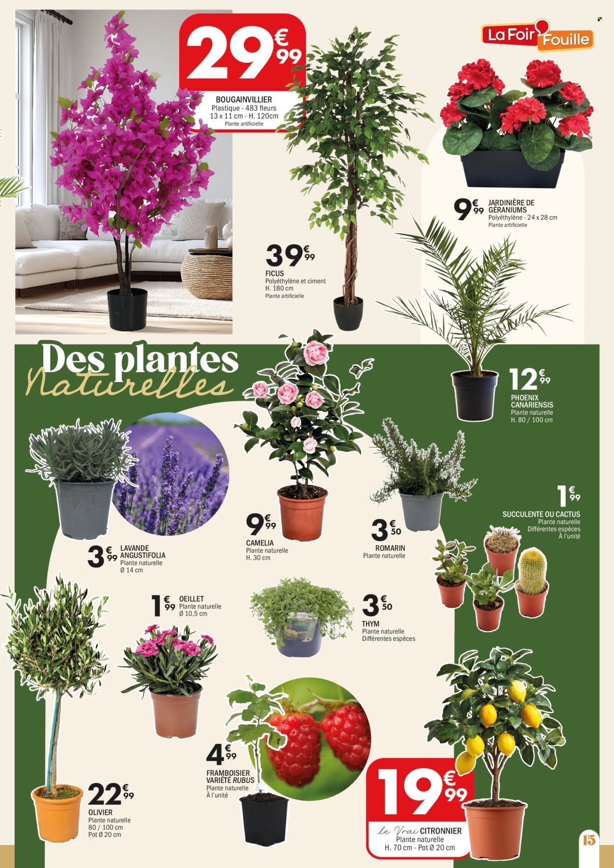 Catalogue La Foir'Fouille - 16/02/2026 - 01/03/2026. Page 15