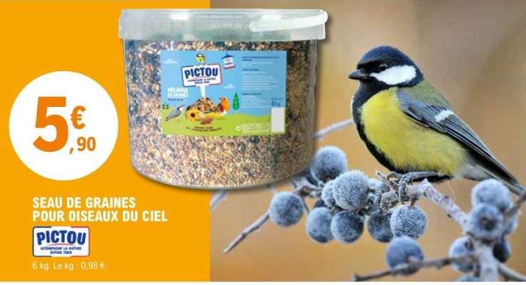 Seau de graines pour oiseaux du ciel