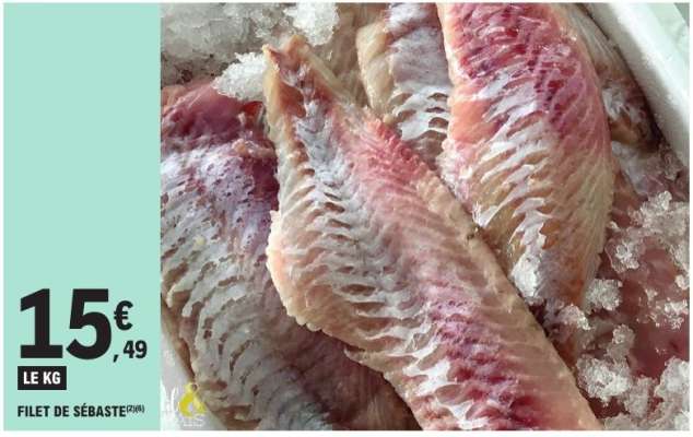 Filet de sébaste