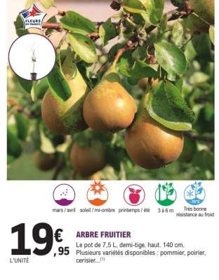 Arbre fruitier