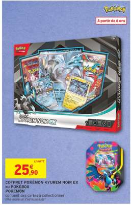 Coffret Pokémon Kyurem Noir Ex