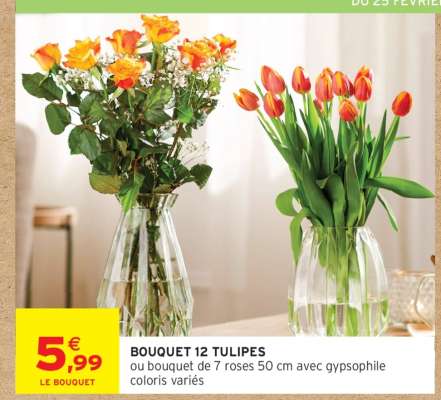 BOUQUET 12 TULIPES