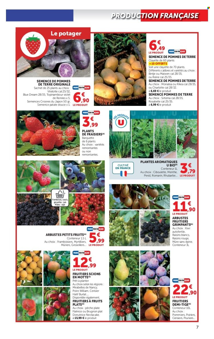 Catalogue SUPER U - 24/02/2026 - 22/03/2026. Page 7