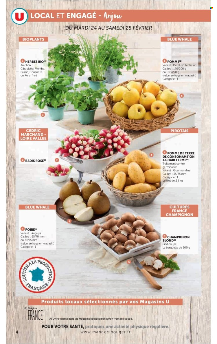 Catalogue Magasins U - 24/02/2026 - 08/03/2026. Page 4