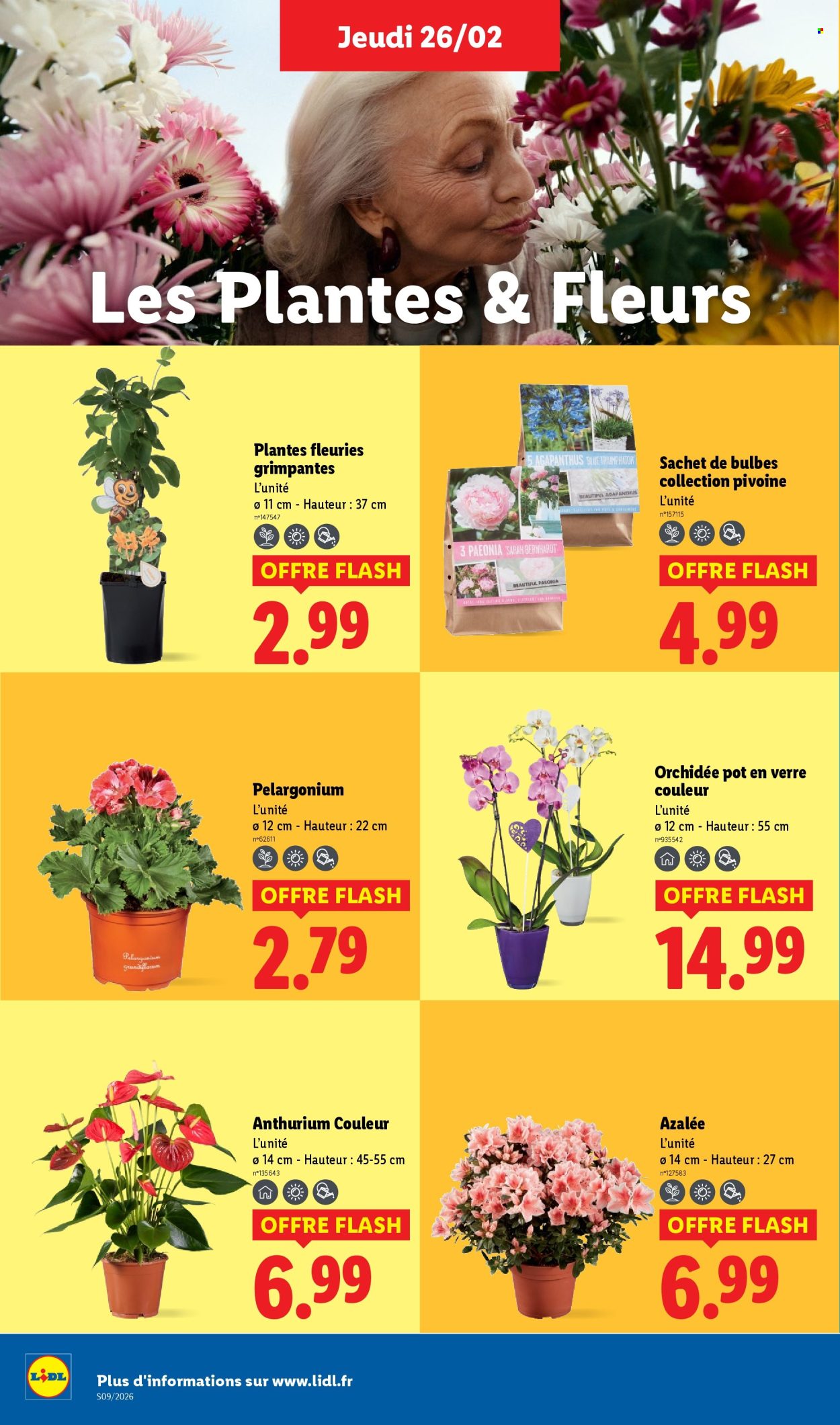 Catalogue Lidl - 26/02/2026 - 04/03/2026. Page 28