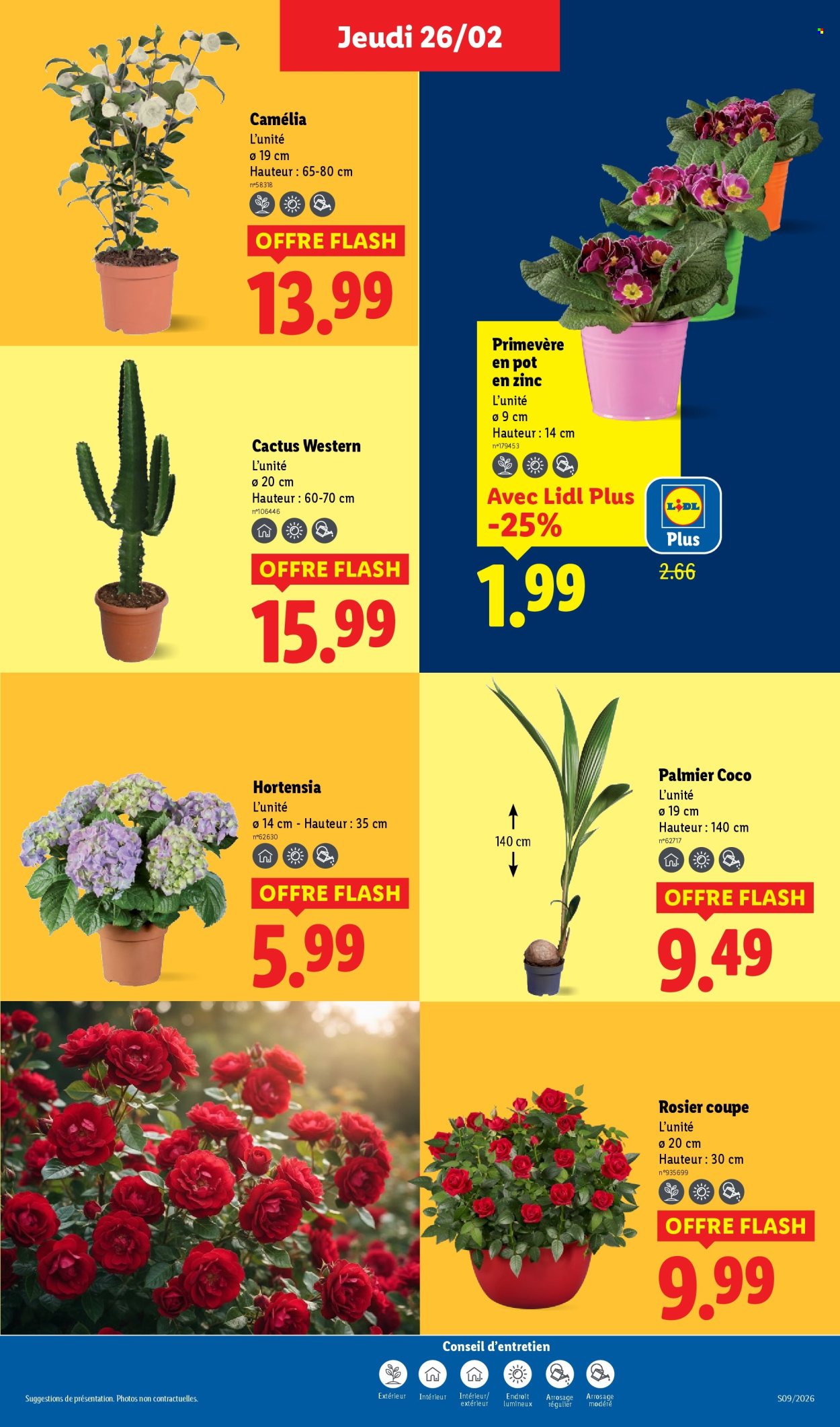 Catalogue Lidl - 26/02/2026 - 04/03/2026. Page 29