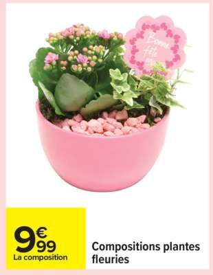 Compositions plantes fleuries