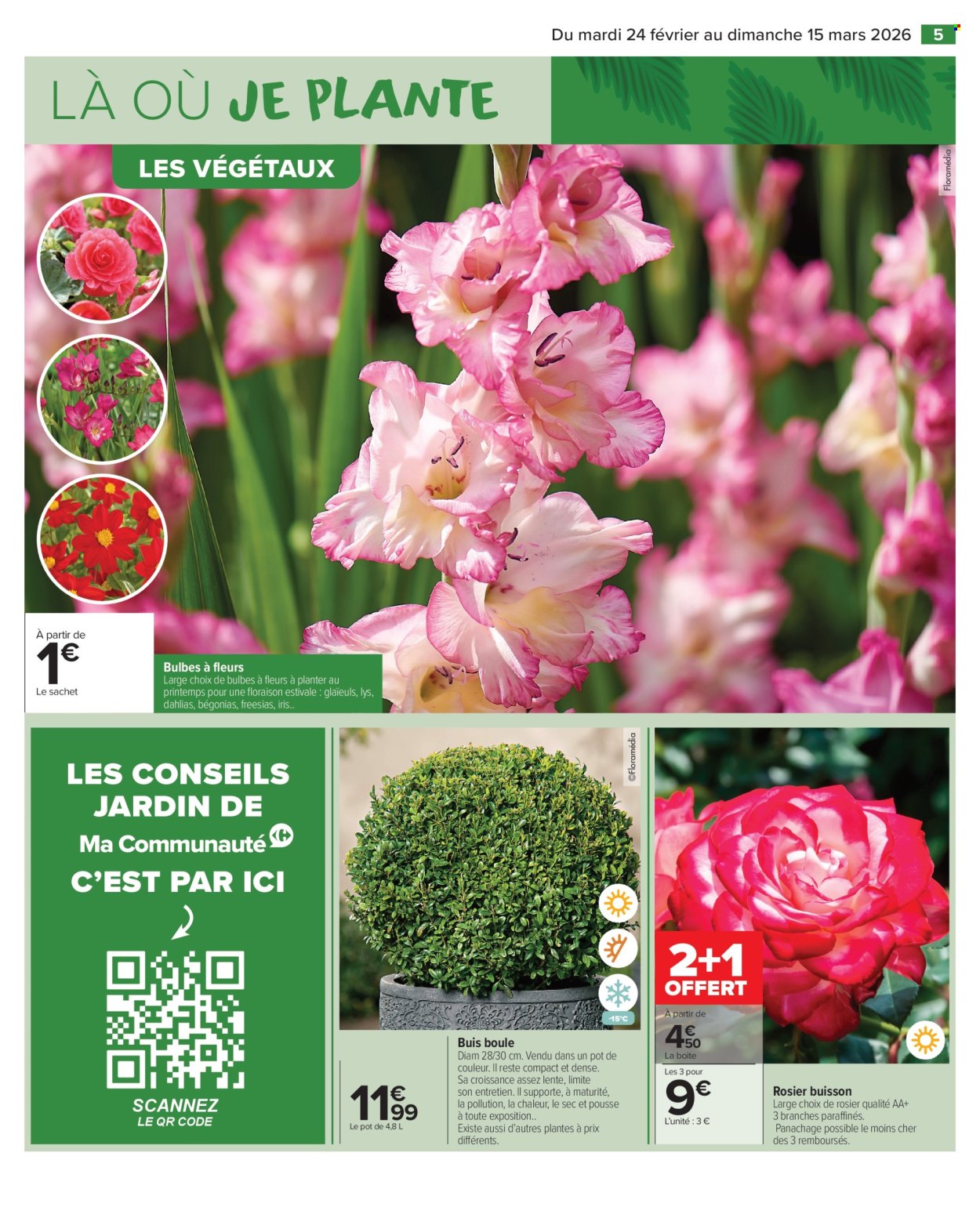 Catalogue Carrefour Market - 24/02/2026 - 15/03/2026. Page 7