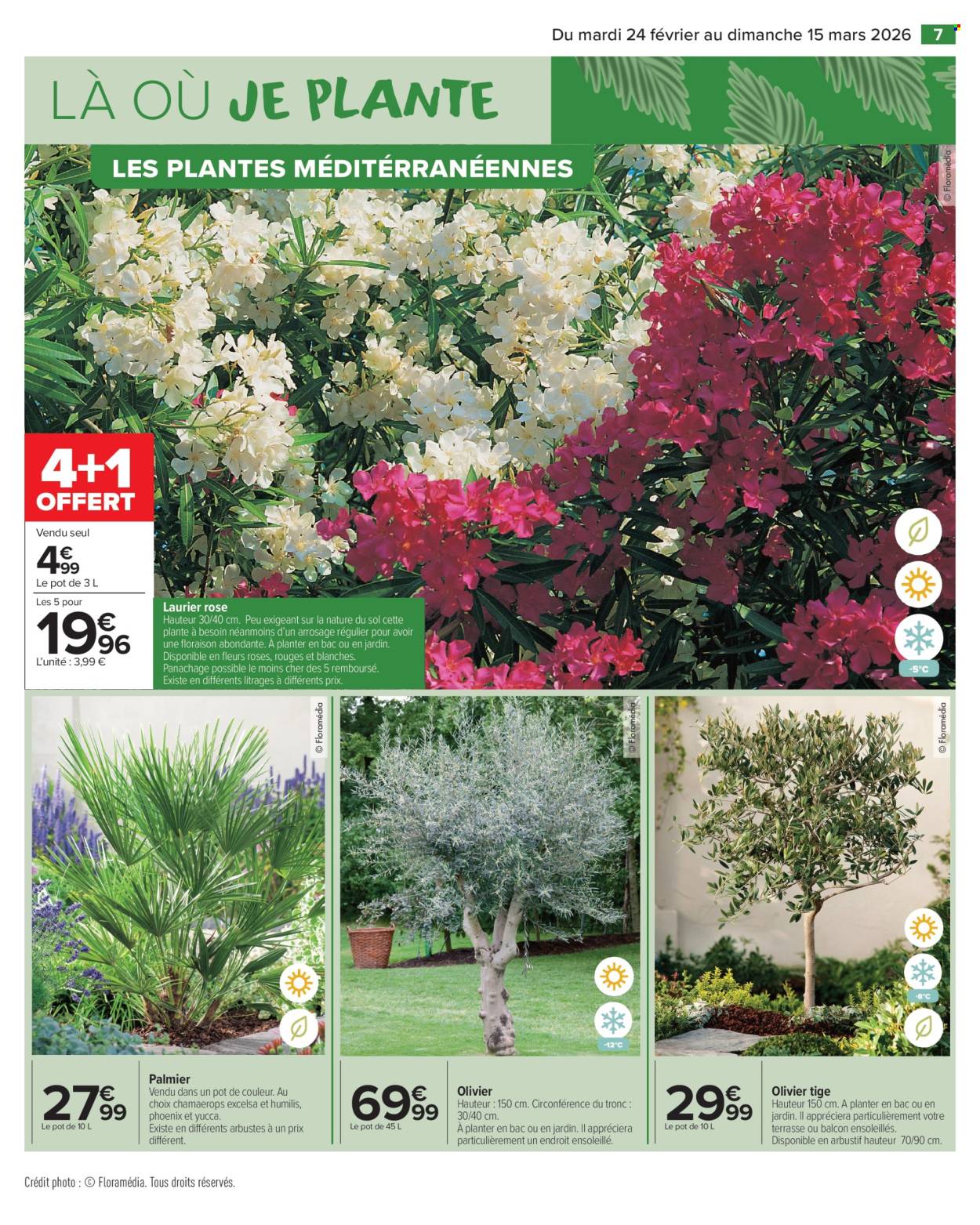 Catalogue Carrefour Market - 24/02/2026 - 15/03/2026. Page 9