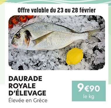 DAURADE ROYALE D'ÉLEVAGE