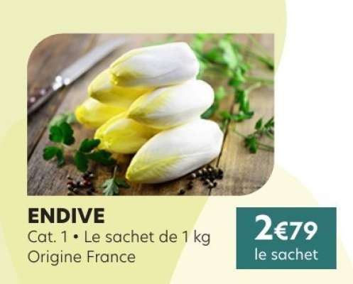 ENDIVE