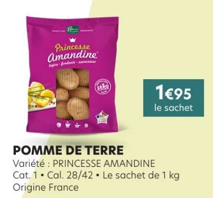 POMME DE TERRE