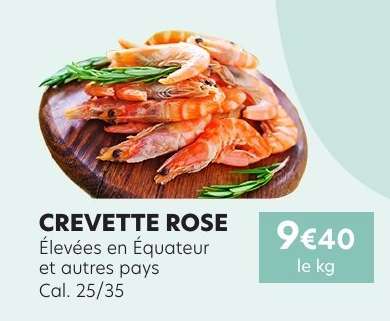 CREVETTE ROSE