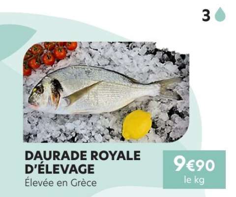 DAURADE ROYALE D'ÉLEVAGE