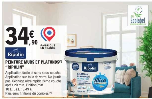 PEINTURE MURS ET PLAFONDS "RIPOLIN"