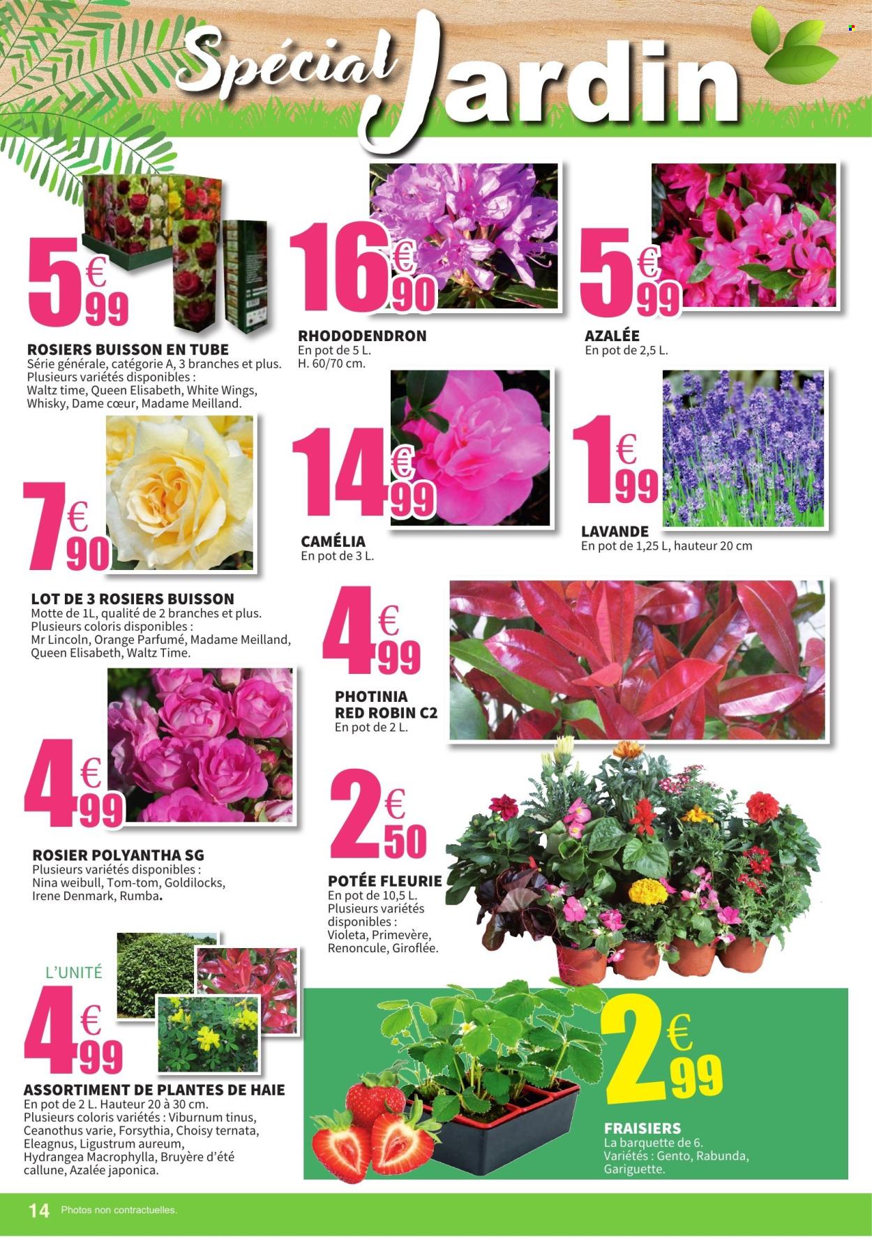 Catalogue E.Leclerc - 25/02/2026 - 07/03/2026. Page 14