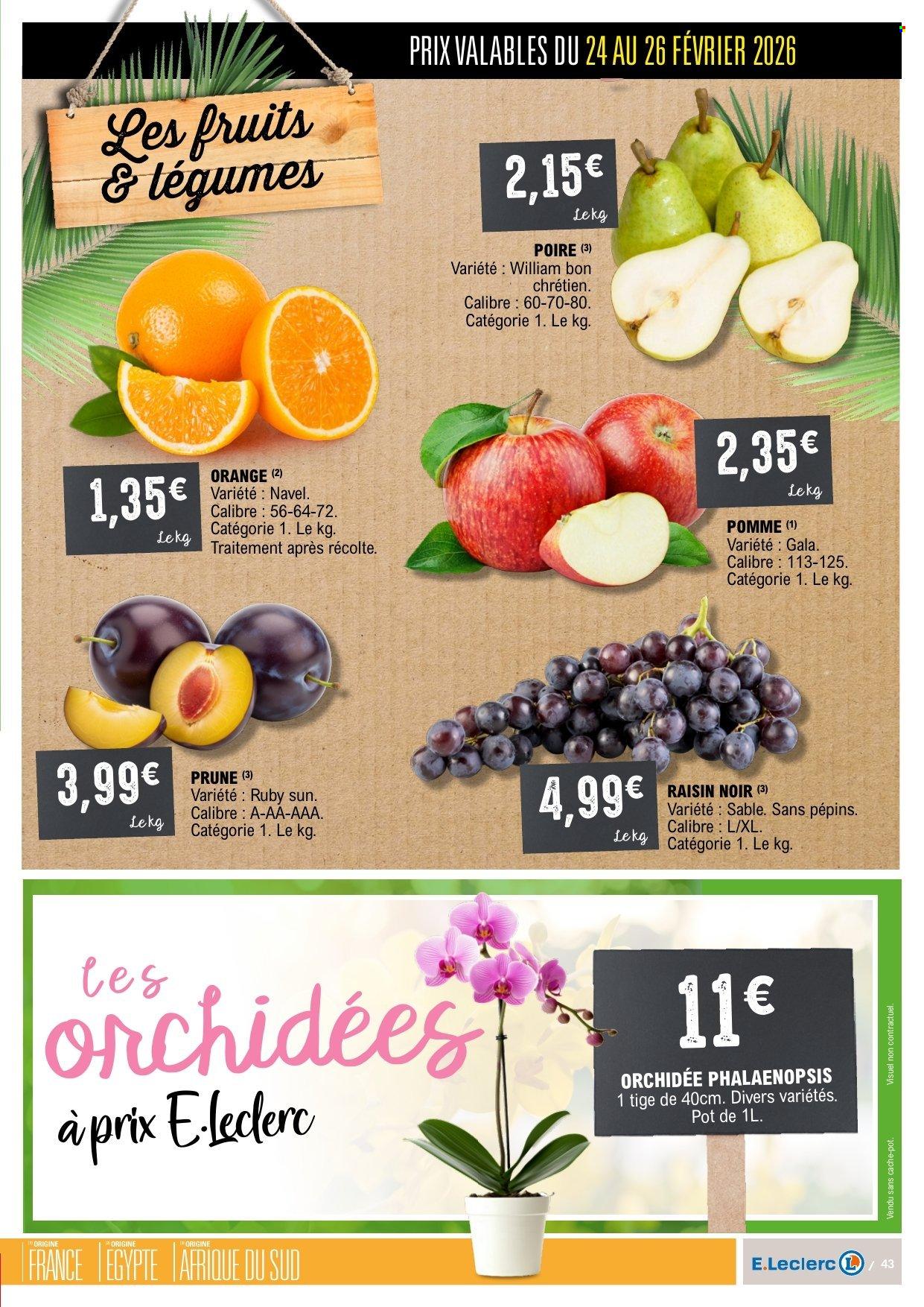 Catalogue E.Leclerc - 24/02/2026 - 08/03/2026. Page 43