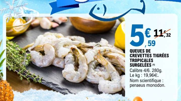 QUEUES DE CREVETTES TIGRÉES TROPICALES SURGELÉES