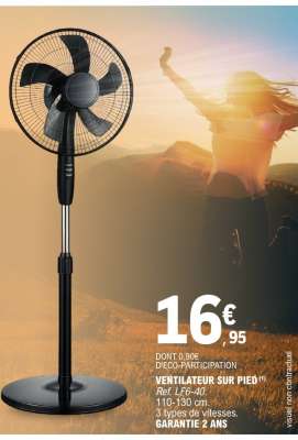 Ventilateur sur pied