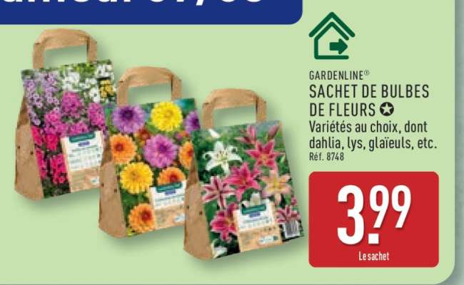 GARDENLINE® SACHET DE BULBES DE FLEURS