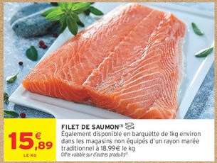 FILET DE SAUMON