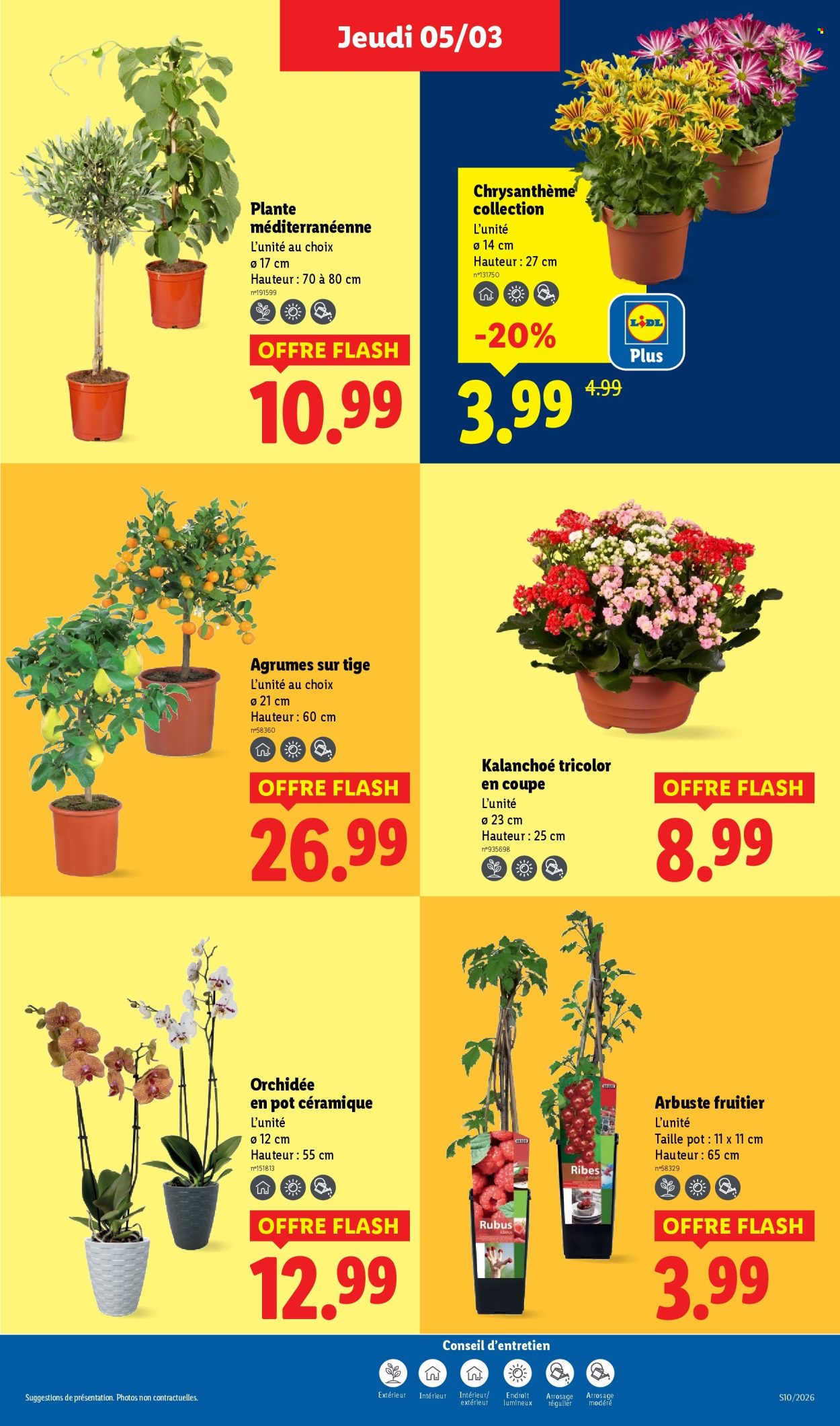 Catalogue Lidl - 05/03/2026 - 11/03/2026. Page 27
