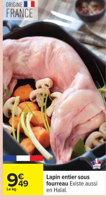 LAPIN ENTIER SOUS FOURREAU