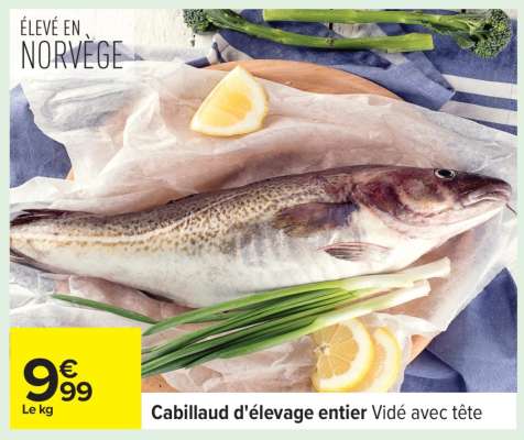 Cabillaud d'élevage entier