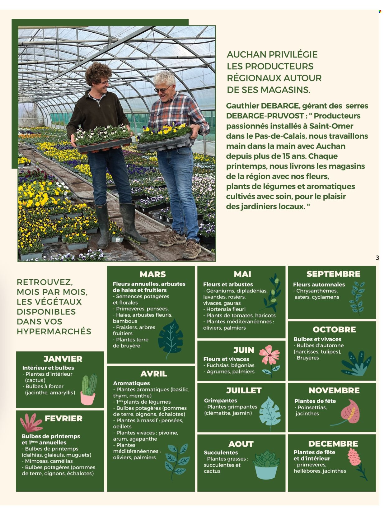 Catalogue Auchan - 03/03/2026 - 14/06/2026. Page 3