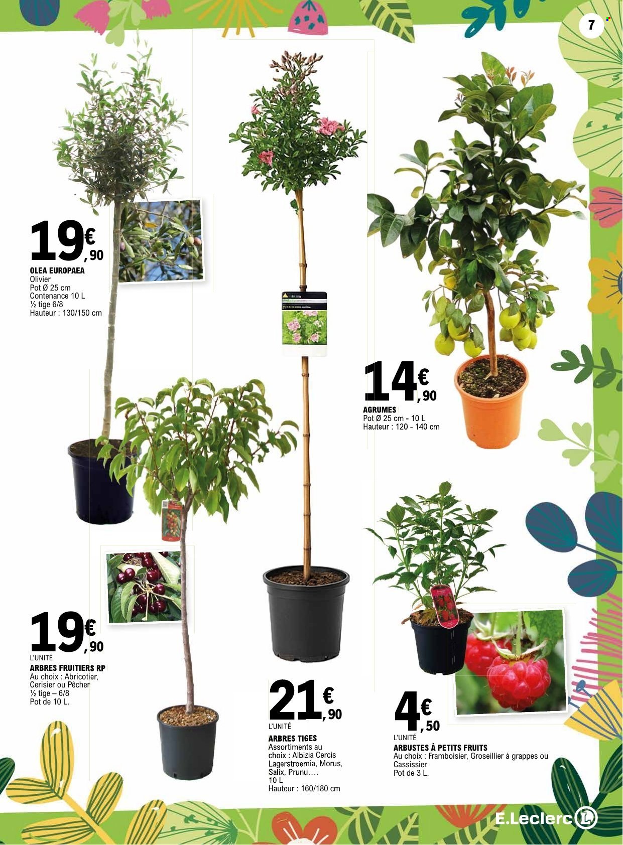 Catalogue E.Leclerc - 03/03/2026 - 14/03/2026. Page 7