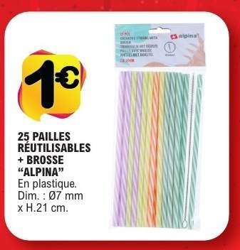 25 pailles réutilisables + brosse "Alpina"