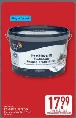 DECO CRAFT® PEINTURE BLANCHE