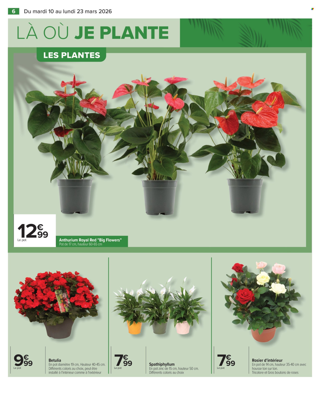 Catalogue Carrefour Hypermarchés - 10/03/2026 - 23/03/2026. Page 6