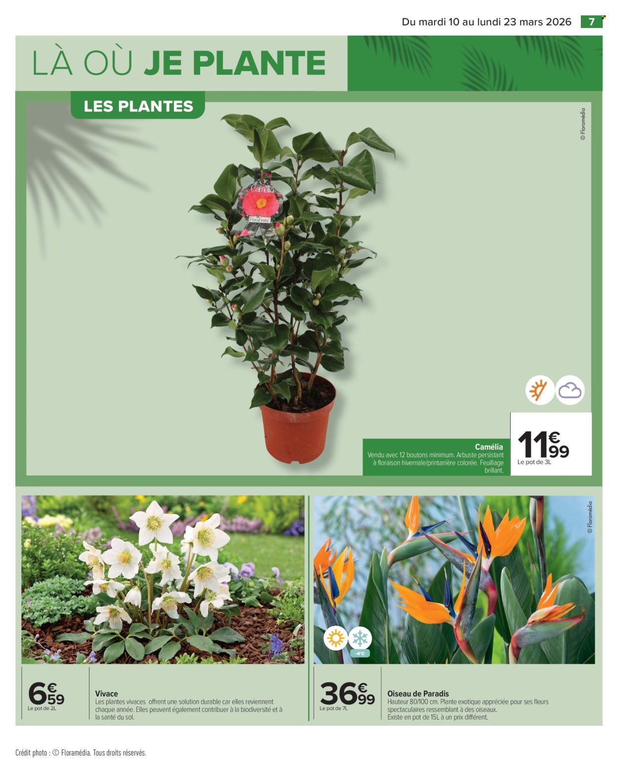 Catalogue Carrefour Hypermarchés - 10/03/2026 - 23/03/2026. Page 7